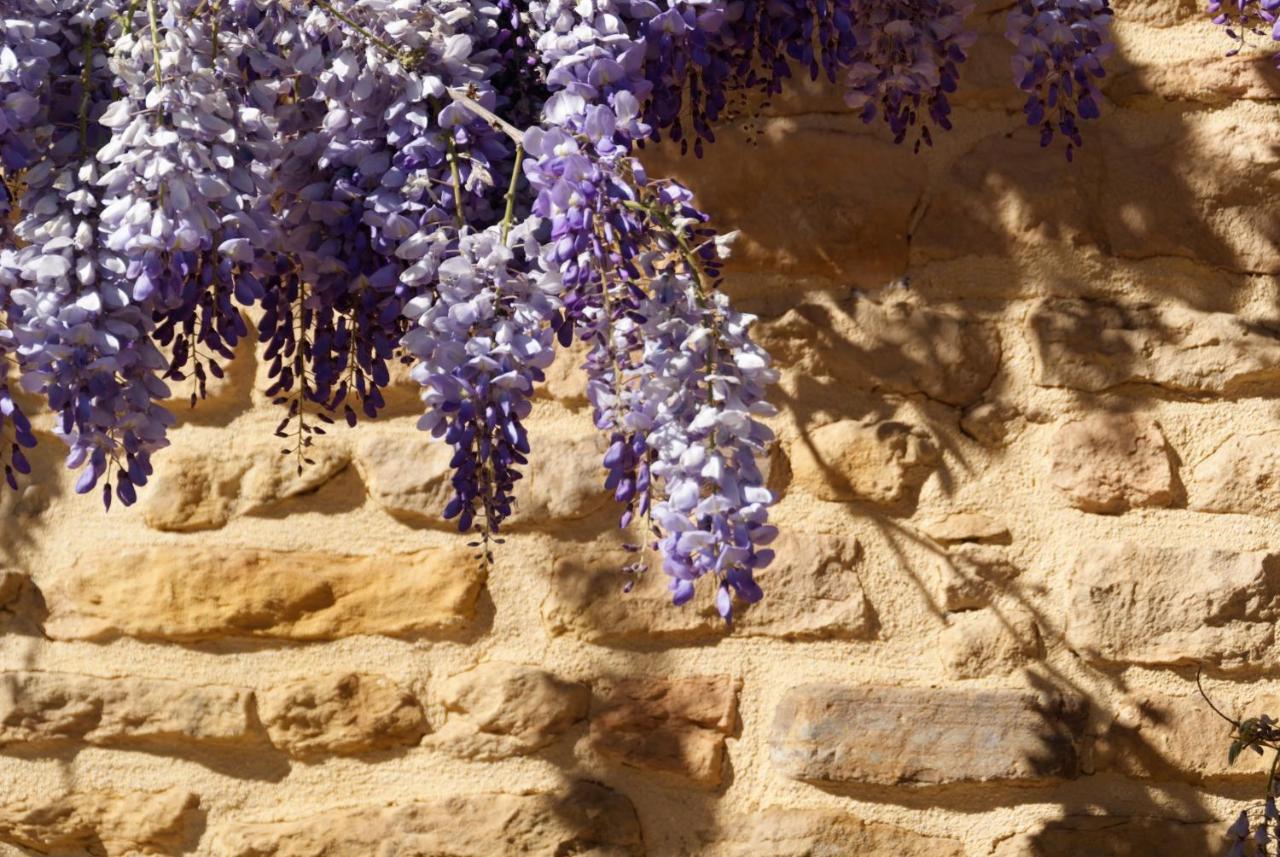 Lodges En Pierres Dorees Saint-Germain-Nuelles Εξωτερικό φωτογραφία